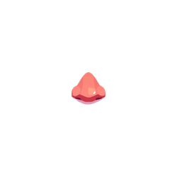 Nose Small
